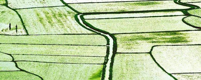 春耕行动宣传语（春耕行动的口号）