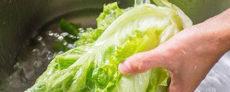 广东过年葱和生菜寓意 广东葱香菜寓意