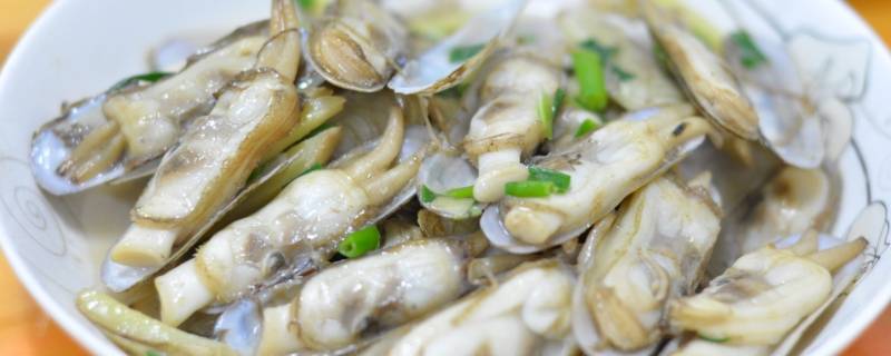 蛏子怎么读 蚬子怎么读