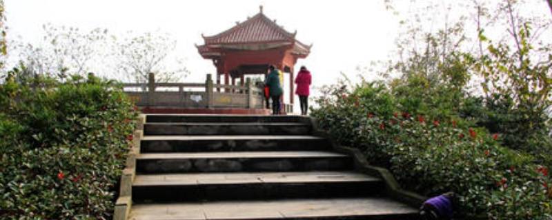 广安兔儿山公园在哪里 广安兔儿山公园草坪图片