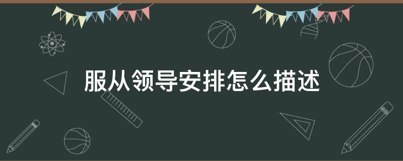 服从领导安排怎么描述（服从领导的工作安排怎么样说）