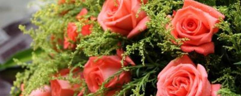 订婚花上卡片写什么字（刚结婚送花卡片怎么写）