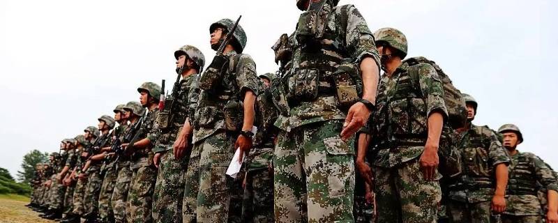 当兵要交的团表是什么（当兵要团表 但团表在档案里）