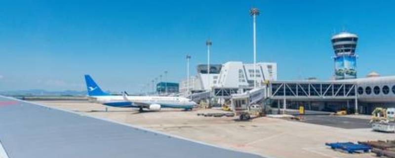 高崎t3和t4有什么区别（高崎T3T4）