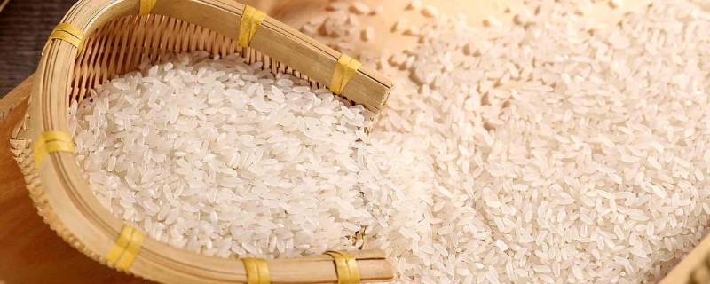 米的宣传语（农家米的宣传语）