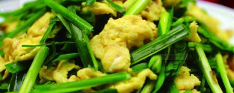 韭菜可以炒哪些东西（韭菜可以炒哪些东西呢）