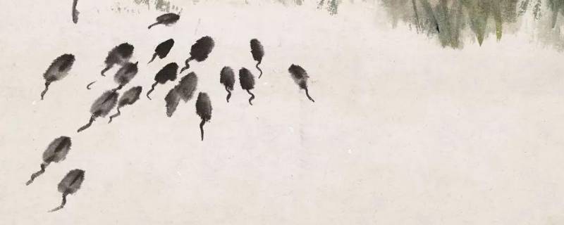 蝌蚪是吃什么的（蝌蚪是吃什么的呢?小蝌蚪吃什么）