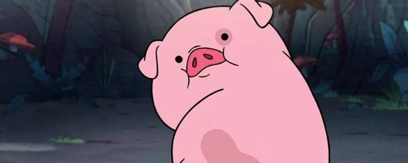 关于猪的笑话 关于猪的笑话大全爆笑