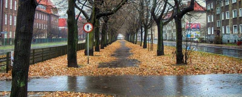 南方潮湿天气如何除湿（南方潮湿天气如何除湿瓷砖流水）