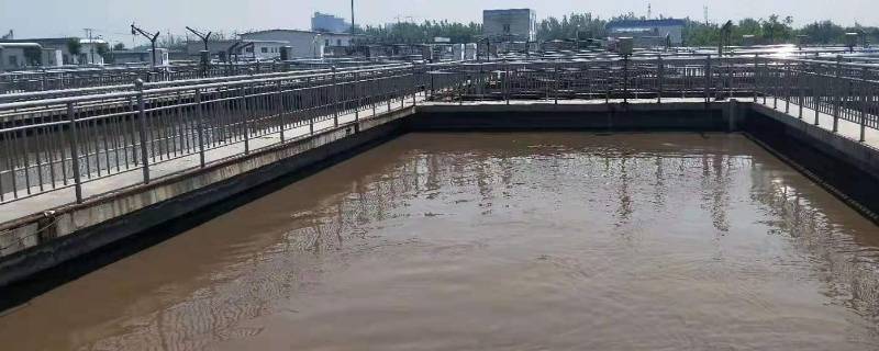 城市污水怎么处理（城市污水处理的一般流程）