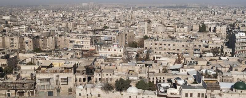 白色橄榄树东国是哪里 白色橄榄树东国是叙利亚吗