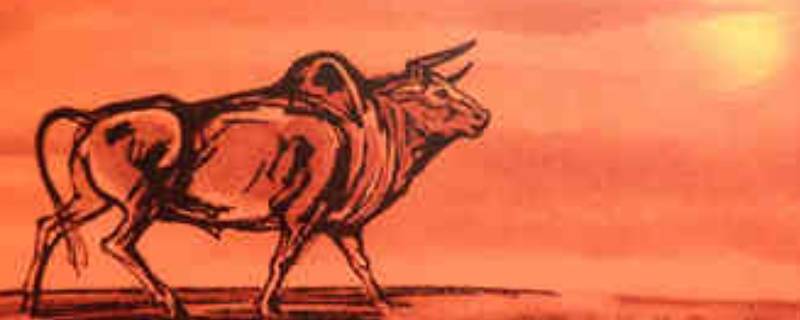 关于牛年的小知识 关于牛年的小知识简短