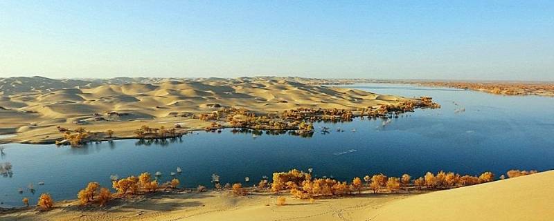 塔里木河发源地（塔里木河发源地是哪个省）