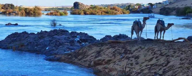 尼罗河发源地（白尼罗河和青尼罗河发源地）