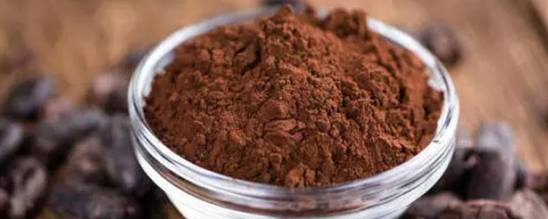 可可粉做巧克力简单做法（可可粉做巧克力的做法）