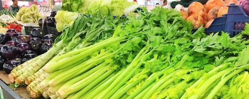 北京蔬菜批发市场有哪些 北京蔬菜最大的批发市场