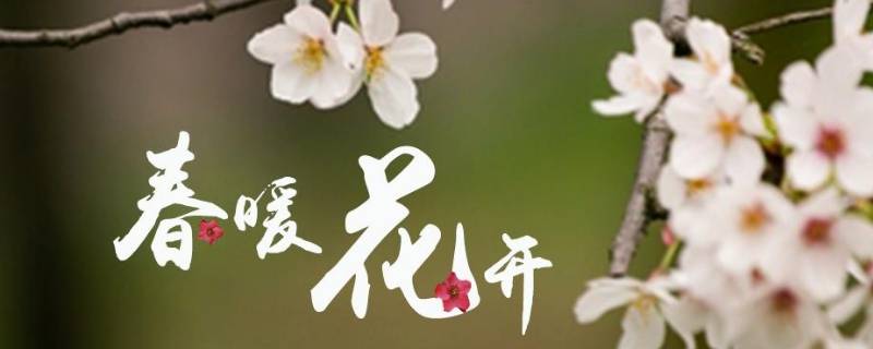 春暖花开祝福语有哪些 春暖花开祝福语有哪些呢