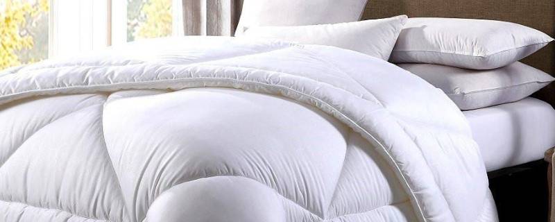 被芯怎么洗（棉被被芯怎么洗）