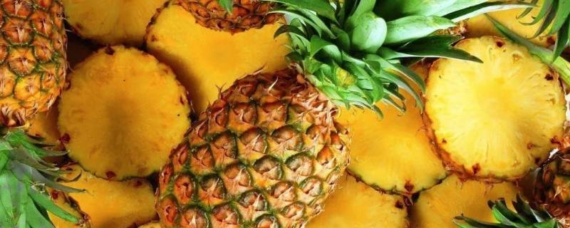菠萝和菠萝蜜有啥区别（菠萝和菠萝蜜有啥区别呢）