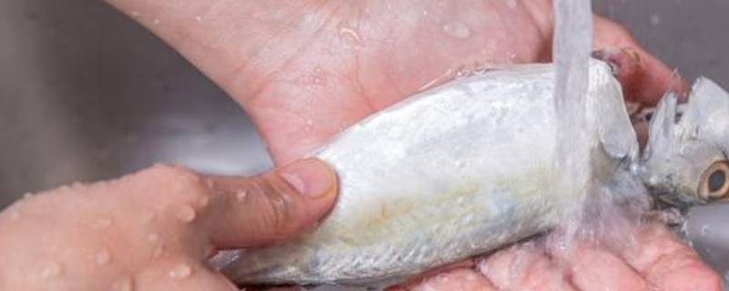 洗鱼后手上的腥味用什么可以去除 洗鱼手腥怎么除味