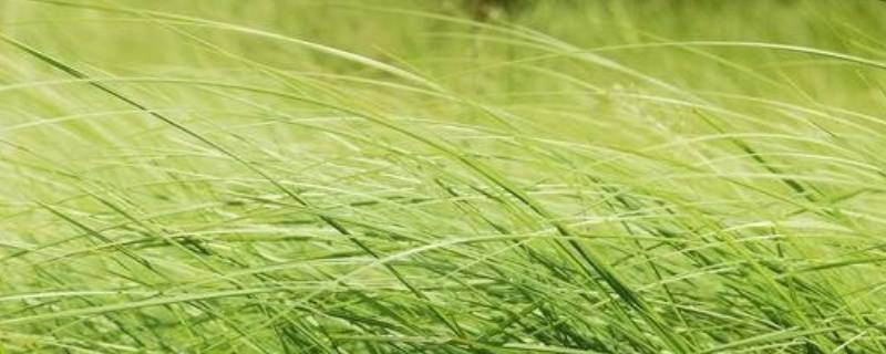 由北向南吹的风叫什么风（由南吹向北的风叫什么风?）