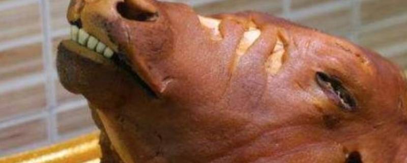 牛头的清理方法 牛头的清理方法视频