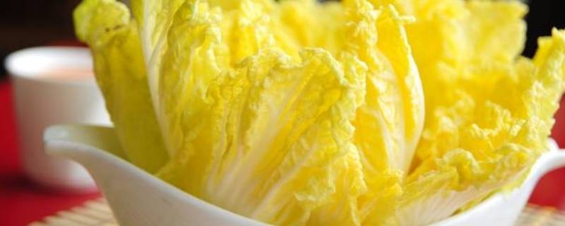 娃娃菜怎么切（娃娃菜怎么切菱形）