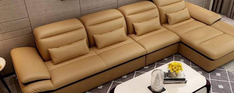 妙招除皮沙发上染发剂（染发剂整到皮沙发上怎么去除）