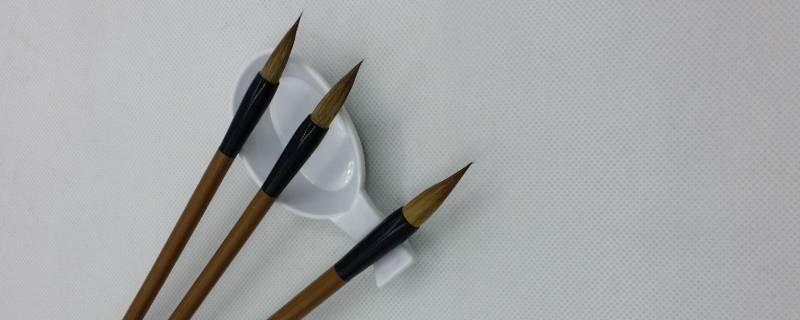 毛笔开笔要泡多久（刚买的毛笔怎么泡开泡多久）