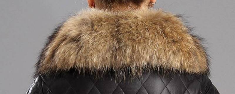 衣服上的毛领如何自己清洗（衣服领毛怎么清洗）