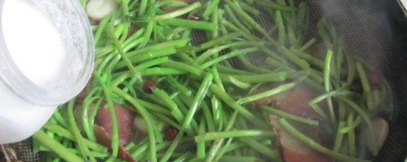 泥蒿怎么保存长久 泥蒿怎么保存长久不坏