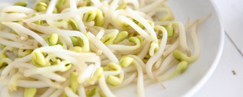 立春吃哪种菜 立春吃什么菜