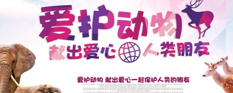 爱护动物的宣传标牌 爱护动物的宣传标牌图片