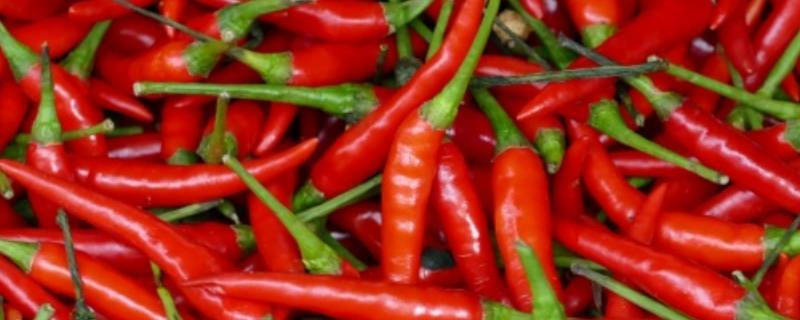 红尖辣椒怎么炒（红尖辣椒怎么炒才好吃）