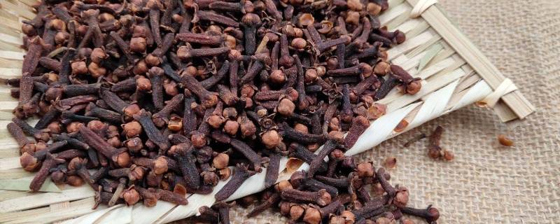 丁香适合炖什么肉（丁香炖什么肉用）
