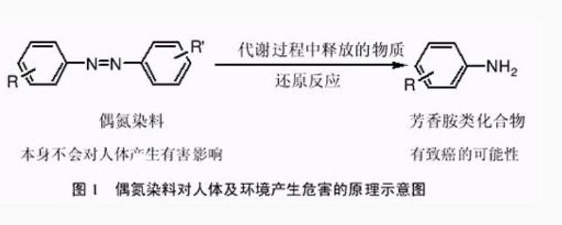 芳香胺是什么东西（芳香胺是干什么的）