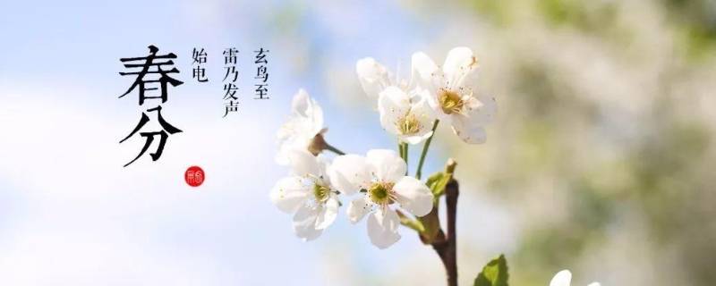 春分的由来（春分的来历和风俗）