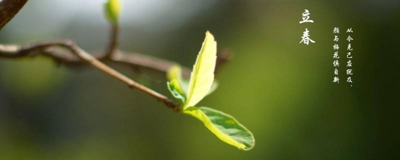 打春和立春有什么区别 打春和立春有什么区别图片