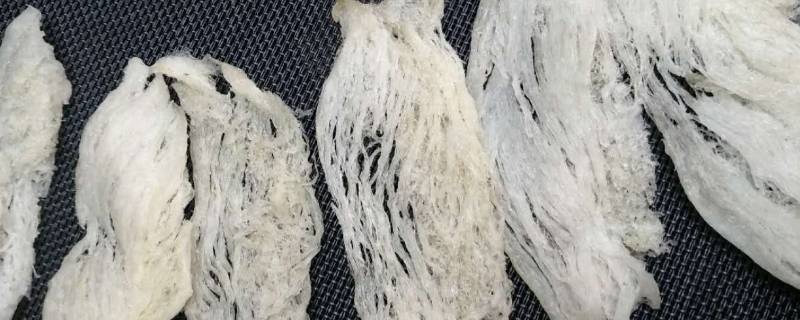 大燕条和燕盏的区别 大燕条和燕盏的区别图片