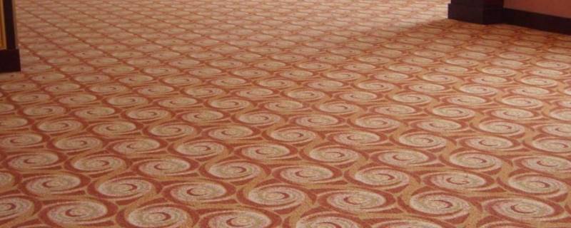 地毯怎么洗 地毯怎么洗才干净