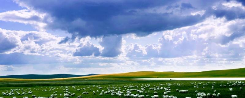 草原的由来（草原的历史）