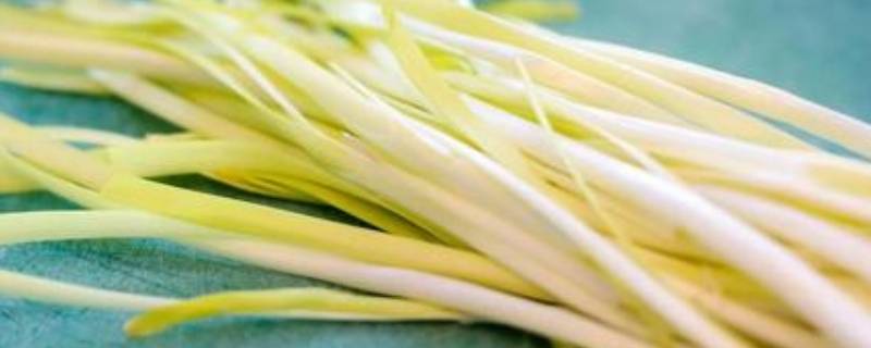 韭黄和蒜黄是一样的吗（韭黄和蒜黄是一样的吗图片）