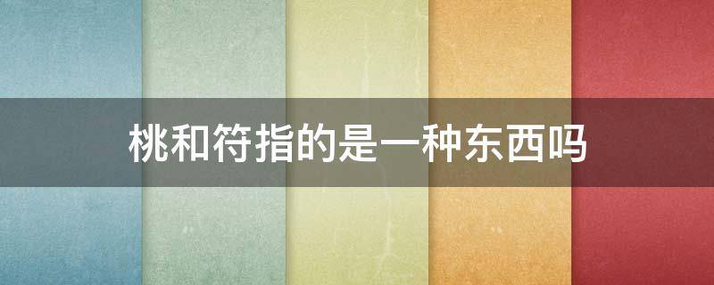 桃和符指的是一种东西吗（桃和符是一个东西）