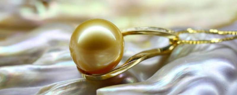 珍珠蚌取出珍珠会死吗 开蚌取珍珠蚌疼吗