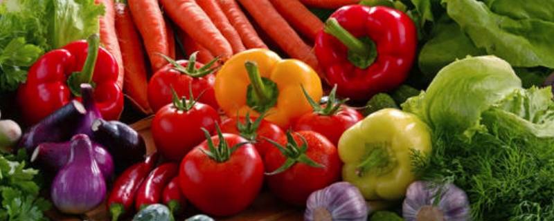 常见的蔬菜（常见的蔬菜英语）