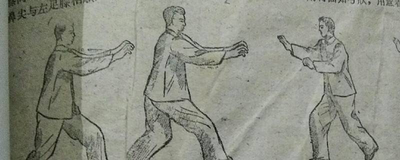 五禽是哪五畜 五禽指什么