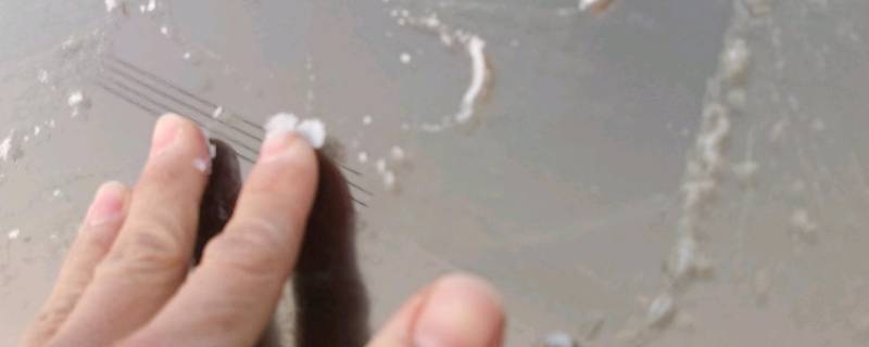 冬天室内窗户玻璃结冰怎么办 冬天室内窗户玻璃结冰怎么办小妙招