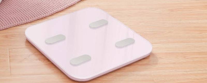 体脂秤可以称体重吗 体重秤和体脂秤哪个更实用