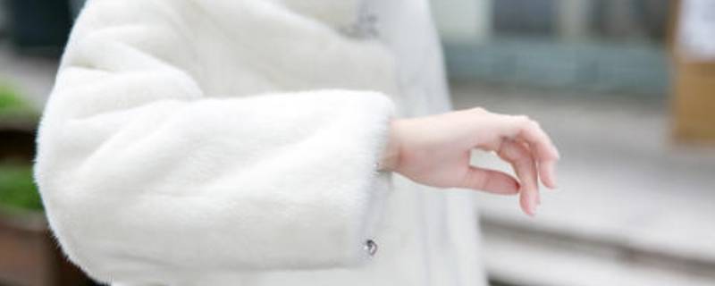 貂皮脏了自己怎么处理 貂皮脏了怎么办