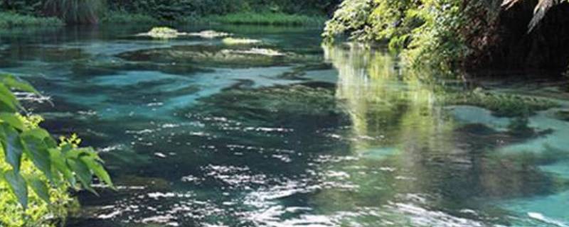 淡水资源包括哪些（淡水资源包括什么哪几个）